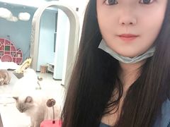 -糯米喵星人·撸猫猫舍咖啡馆(西市场嘉华店)