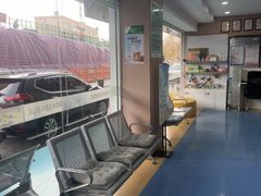 -天使宠物医院·犬猫分诊(彩虹店)