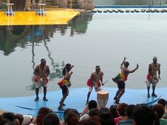 -秦皇岛乐岛海洋王国