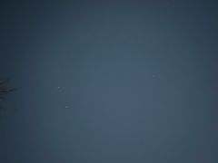 -同庆楼(金宝汇店)