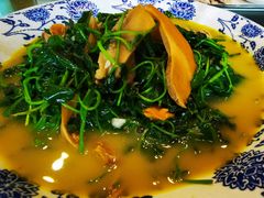 蚌肉金花菜-呼吸森林·生态农庄农家乐私房菜