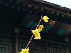 -颐和园