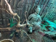 -zoonana室内动物园(东方福来德店)