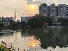 -荔湾湖公园