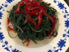 凉拌沙葱-吾穆勒蓬灰牛肉面·清真(北滨河中路店)