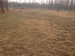 -蜀冈西峰生态公园