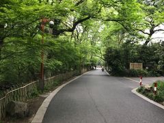 -东航云逸酒店(九溪烟树店)