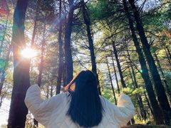 -苍山感通索道