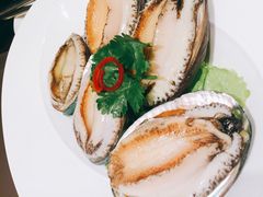 活鲍鱼-协成海鲜火锅(情侣路店)