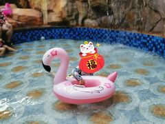 -沈阳龙润夏宫温泉水乐园
