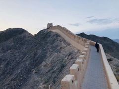 -南山植物园