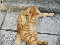 -东风公园