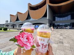 -隋唐大运河文化博物馆