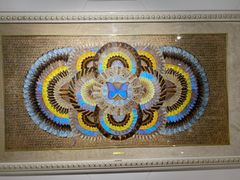 -上海昆虫博物馆