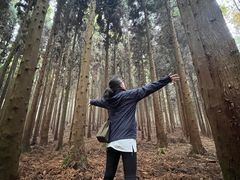 -山王坪喀斯特国家生态公园