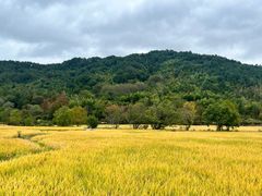 -塔川景区