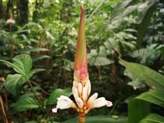 -华南国家植物园-售票处