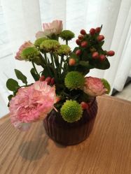 -海茱雅科技健康美容