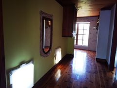 -金山农民画村-枫泾波兰倒置屋