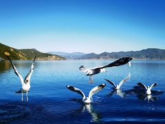 -丽江泸沽湖景区