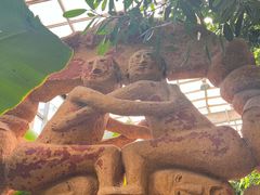 -石家庄市植物园
