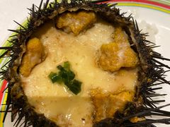 野生海胆蒸蛋-开海·红岛海鲜虾水饺(石老人店)