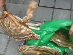 -海鲜e族(马王堆店)