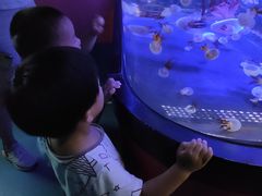 -烟台海昌鲸鲨海洋公园