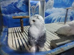 -成都浩海立方海洋公园