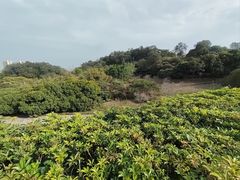 -HUBBA祜精酿(五羊邨店)