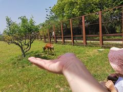 -良渚古城遗址公园