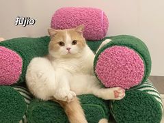 -萌兽医馆·犬猫专科·眼科中心·宠物医院(朝阳门分院)