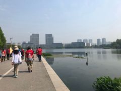 -尚贤河湿地