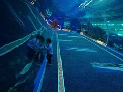 -成都浩海立方海洋公园