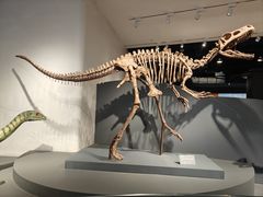 -自贡恐龙博物馆