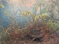 -上海大自然野生昆虫馆(东方明珠·爬宠昆虫探索中心)