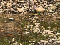 -千峡湖生态旅游度假区