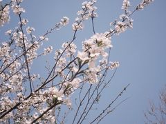 -西清公园
