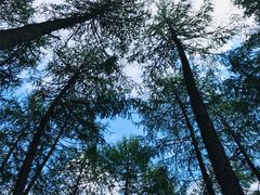 -硗碛藏寨·神木垒景区