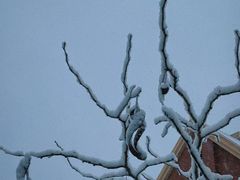 -沐泷泉(南风大剧院店)