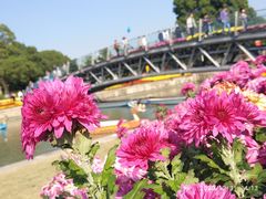 -上海月湖雕塑公园