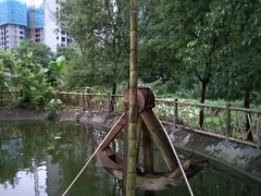 -江边湾柴火鸭