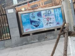 -清华大学附属小学商务中心区实验小学