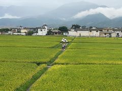-喜林苑·稻田餐厅(品相府店)