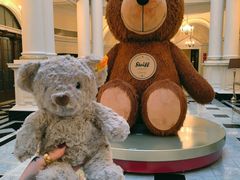 -Salon de Ville浦江汇(上海外滩华尔道夫酒店店)