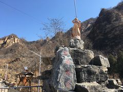 -大岭沟猕猴桃谷风景区