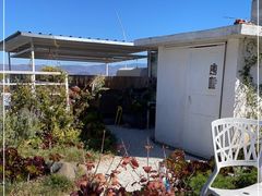 -唐咖精品咖啡(大理古城手冲店)