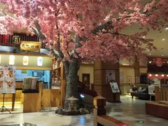 -大江户·温泉洗浴(浑南店)