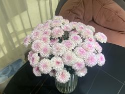 -海菲秀黑钻·SELF SKIN悦己·Tech SPA