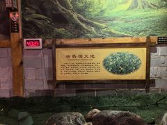 -华山御温泉度假村